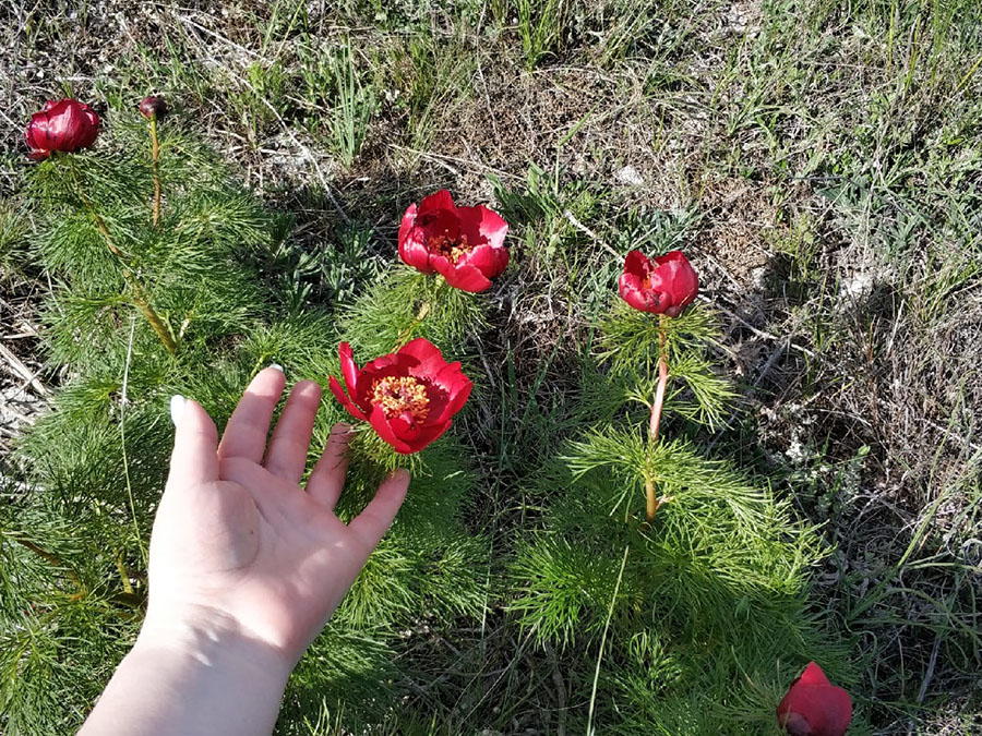 Достопримечательности Крыма – Красная балка